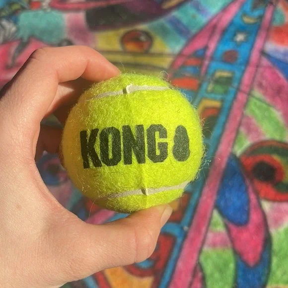 KONG tennis ball - Picture 3 of 4